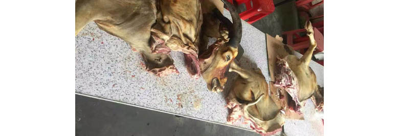 羊肉切塊 雕銑機(jī)廠家羊肉