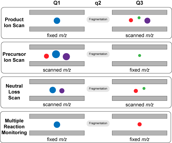 1647484272796243.jpg scans.jpg